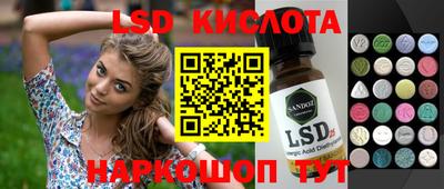 ПСИЛОЦИБИНОВЫЕ ГРИБЫ Гусев