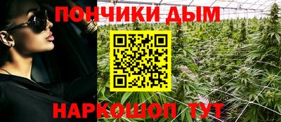 шишки Гусь-Хрустальный