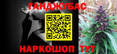 крисы Аргун