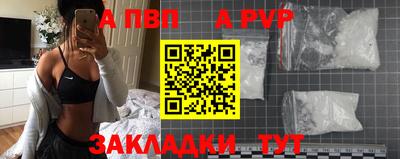 стафф Гатчина