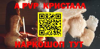 стафф Гатчина