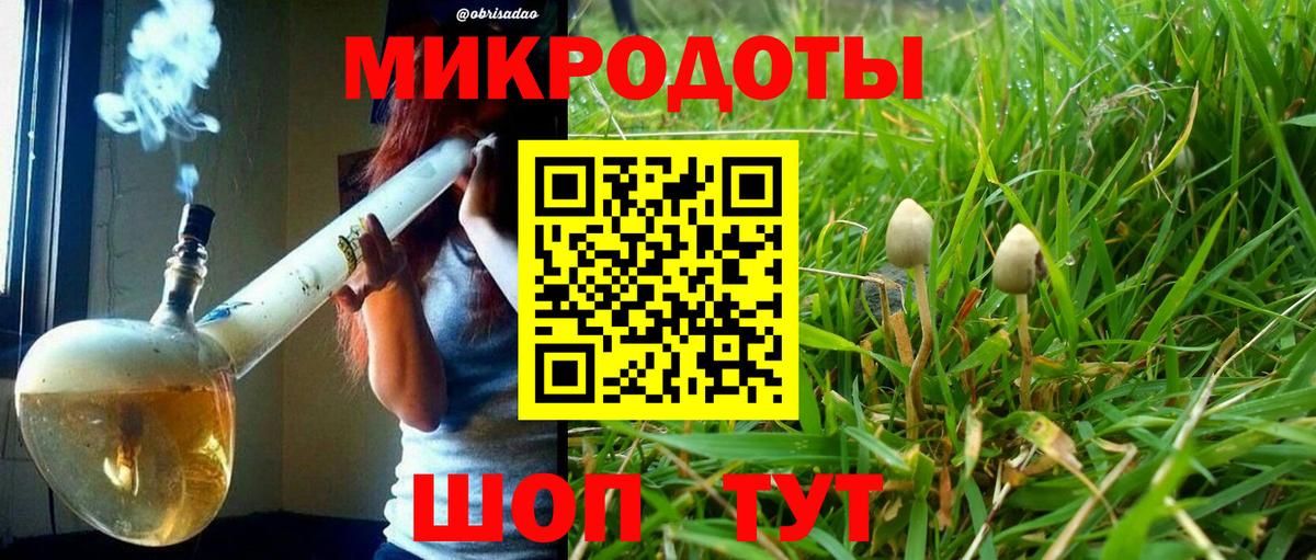 Нововоронеж  Псилоцибиновые грибы прущие грибы  Вход с VPN 