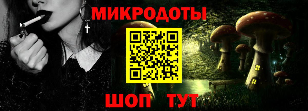 Псилоцибиновые грибы Cubensis Нововоронеж